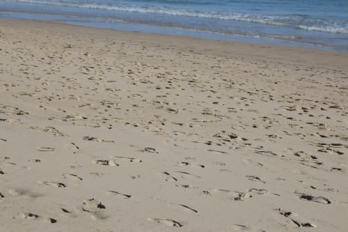 Nuestra huella ecológica (Vol. I) Nuestra huella ecológica (Vol. I)